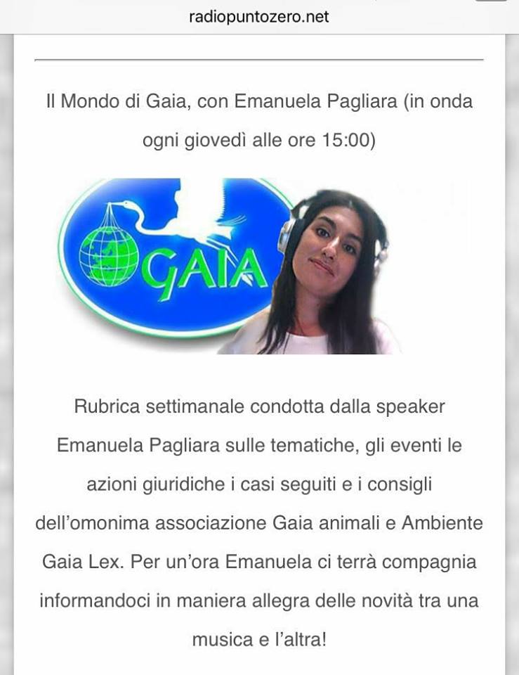 radio punto zero 27459513_930374787112662_8152048780101101064_n
